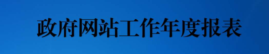 政府網(wǎng)站年度報表